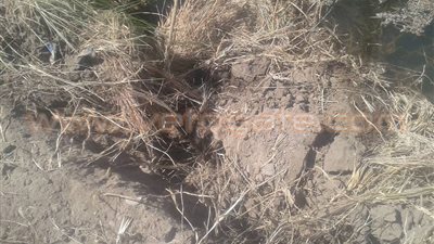 تجريف أراضي ترعة أصفون كارثة تهدد الأهالي بقنا (تقرير)