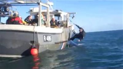 بالفيديو.. حوت يستنجد بالبشر لتحريره من شباك الصيد