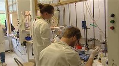 مطالب فرنسية بإنشاء لجنة متخصصة لعلاج مرضى السرطان فوق 75 عاما