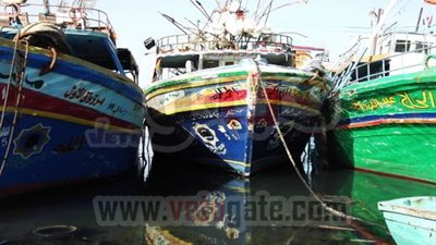 خبير بيئى: مخلفات المصانع تدمر الثروة السمكية بخليج 