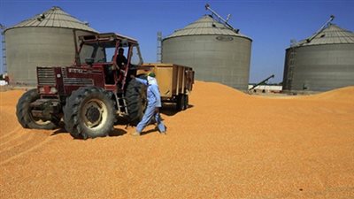 تصاعد أزمة التلاعب في توريد القمح تحت قبة البرلمان.. مجلس النواب يحمل «التموين» المسئولية.. لجنة تقصي الحقائق تطلب بيانا بحجم الاستيراد العام الماضي.. وبرلمانيون: إقالة «خالد حنفي»