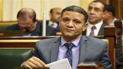 برلماني: نسعى لإدراج موظفي الصناديق الخاصة بالهيكل الإداري للدولة