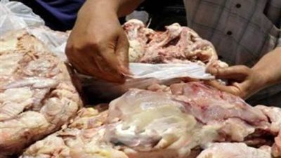 ضبط 18 طن دواجن فاسدة بالجيزة