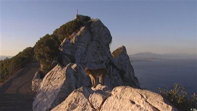 جبل طارق.. أولى مشكلات أوروبا بعد «بركسيت»