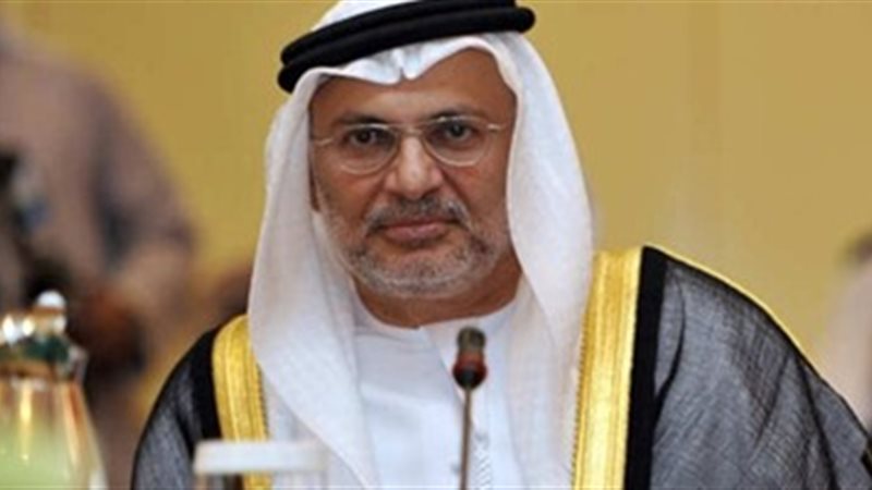 وزير الدولة الإماراتي