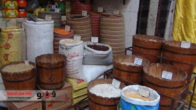 الغربية تسجل أدنى سعر لأعلاف الذرة الصفراء بين المحافظات