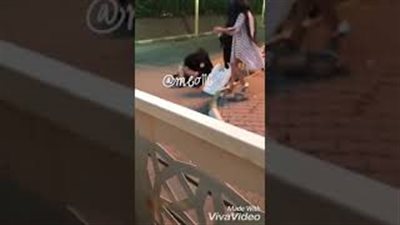 بالفيديو.. مشاجرة عنيفة بين أربع فتيات في أحد شوارع الكويت