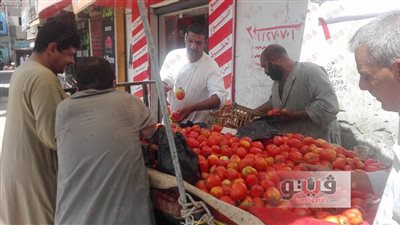 بالفيديو.. مبادرة شبابية في قنا لتخفيض سعر «الطماطم» لـ4 جنيهات