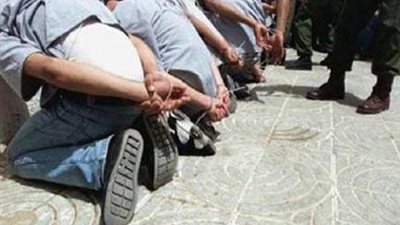 ضبط عصابة يتزعمها مسجل خطر لسرقة البطاريات الشمسية في طوخ