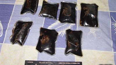 طبيب يهرب المخدرات مستخدما الكلاب بطريقة بشعة (صور)