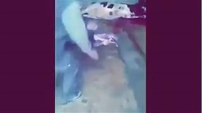 بالفيديو.. رجل عجوز يتعرض لسقوط مروع بسبب «بقرة»