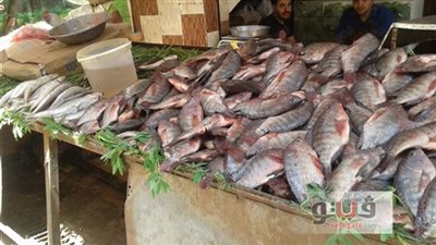 أسعار الأسماك اليوم 4/ 2/ 2019.. والبلطي يسجل 24 جنيها