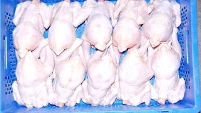 حملات رقابية للتحقق من جودة الدواجن المجمدة المنتشرة بالأسواق