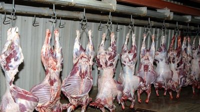 «الرقابة الإدارية» تداهم مجازر اللحوم بالمحافظات