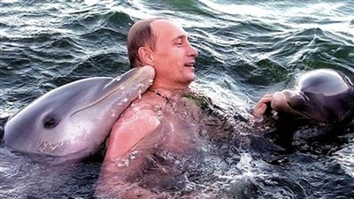 بوتين يسبح مع الدلافين فى مقطع نادر نشره الكرملين| فيديو