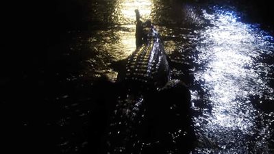 أمطار غزيرة تجلب التماسيح والثعابين لمدينة أسترالية (فيديو وصور)