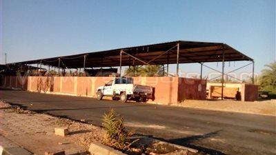 أزمة في الخضر والفاكهة بالوادي الجديد عقب أجازة العيد 