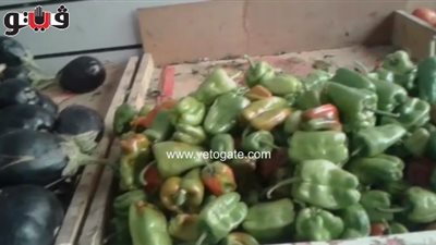 بالفيديو.. استقرار أسعار الخضروات.. والطماطم تسجل 6 جنيهات