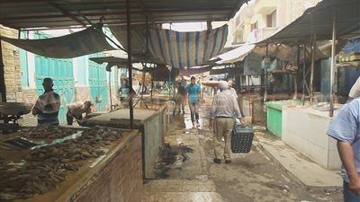 بالصور.. تجار أسماك بالإسماعيلية: ارتفاع أسعار الأطعمة البحرية