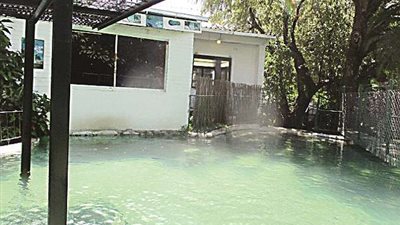 3 تماسيح تهاجم رجل وتقطع ذراعه (صور)