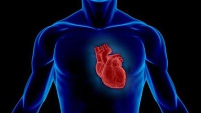 «أورام القلب» أنواعها وأسبابها وأعراضها