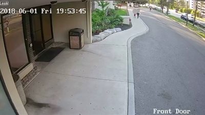 لحظة اعتداء مجهول على امرأة بالضرب المبرح أمام طفلها (فيديو)