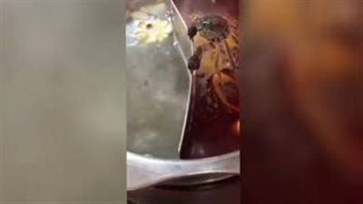 مشهد صادم لـ«جمبري» يجاهد للهروب من طهيه حيا (فيديو)