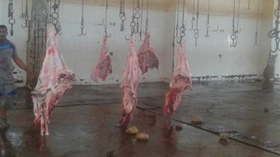 «الرقابة الإدارية» تكشف عن عدم جاهزية مجزر بني سويف لعيد الأضحى