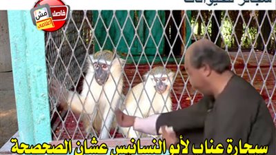 ساخرون.. حديقة الجيزة تمنع تقديم السجائر للحيوانات