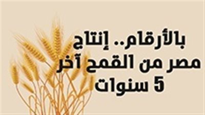 بالأرقام.. إنتاج مصر من القمح آخر 5 سنوات
