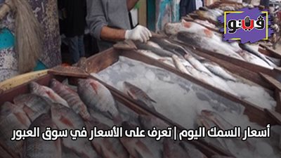 اسعار السمك اليوم | تعرف على الأسعار في سوق العبور
