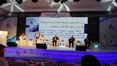 رئيس «العربي للتعليم»: المستثمرون العرب يشيدون بذكاء السيسي