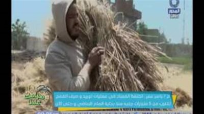 بالفيديو..«موازنة البرلمان»:وزير التموين مسئول عن فساد منظومة القمح