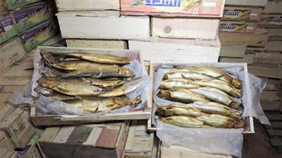ضبط 3 أطنان ملح و525 كيلو رنجة فاسدة في الغربية قبل «شم النسيم»