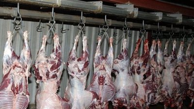 ذبح 13584 أضحية بمسالخ الكويت أول أيام عيد الأضحى