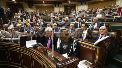 «تقصي حقائق القمح بالنواب» تتقدم ببلاغ لمباحث التموين