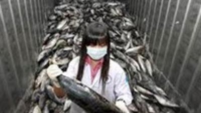 مسئول ياباني يزور كوريا الجنوبية للمطالبة برفع الحظر عن المنتجات السمكية