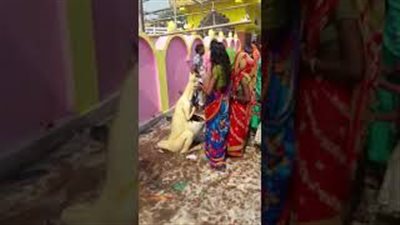 بالفيديو.. هنود يعبدون سلة قمامة