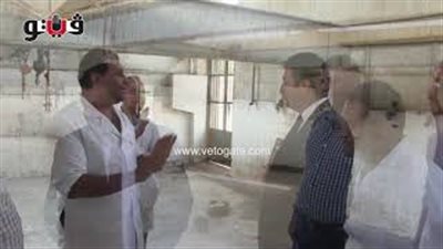 الرقابة قنا: التخلص من النفايات يتم بطريقة غير آمنة بالمجازر