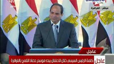 بالفيديو.. السيسي يهنئ الشباب الفائزين بالبطولات الدولية