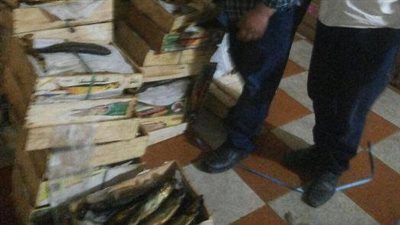 ضبط 3 أطنان رنجة قبل طرحها في شم النسيم بالشرقية (صور)