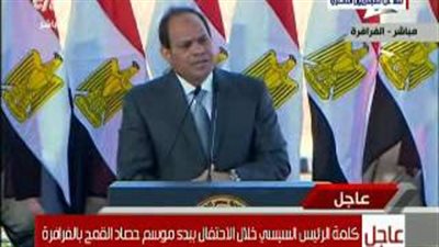 بالفيديو.. السيسي: «أخذت 2000 قرار في سنتين ونص»
