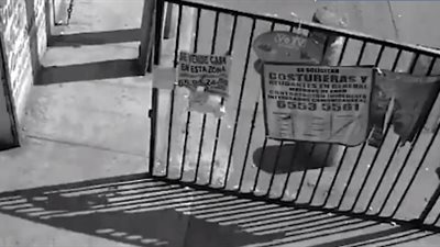 سيدة تخدع أما وتخطف طفلها الرضيع (فيديو)