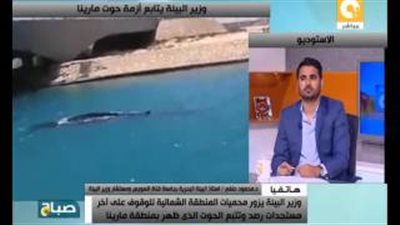 بالفيديو.. «البيئة»: «حوت مارينا» مسالم ومهدد بالإنقراض