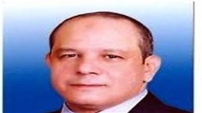 «مستثمري قويسنا»: يجب دمج القطاع غير الرسمي في حصيلة الضرائب