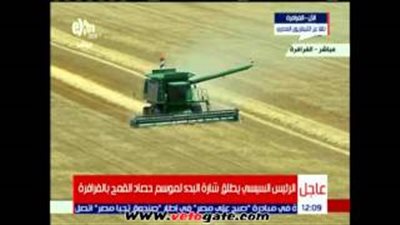 بالفيديو.. الماكينات تحصد القمح في مشروع 1.5 مليون فدان