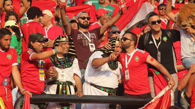 جماهير مصر والجزائر تدعم المغرب أمام كوت ديفوار بأمم أفريقيا (صور)