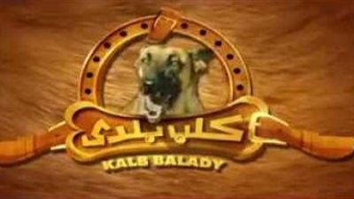 عمرو سلامة ومخرج «اشتباك» يشيدان بفيلم «كلب بلدي»