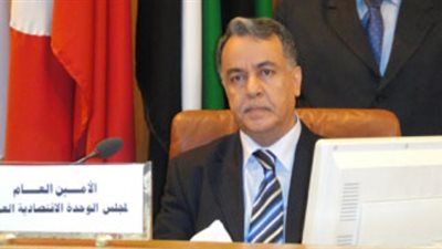 أمين «الوحدة الاقتصادية العربية»: مصر حمت الأمة من الإرهاب