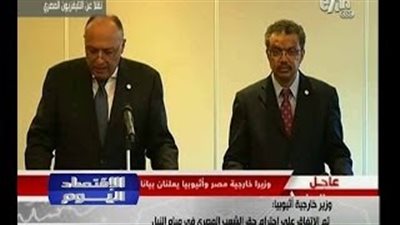 بالفيديو.. وزير الخارجية يبحث مع نظيره الإثيوبي أزمة سد النهضة